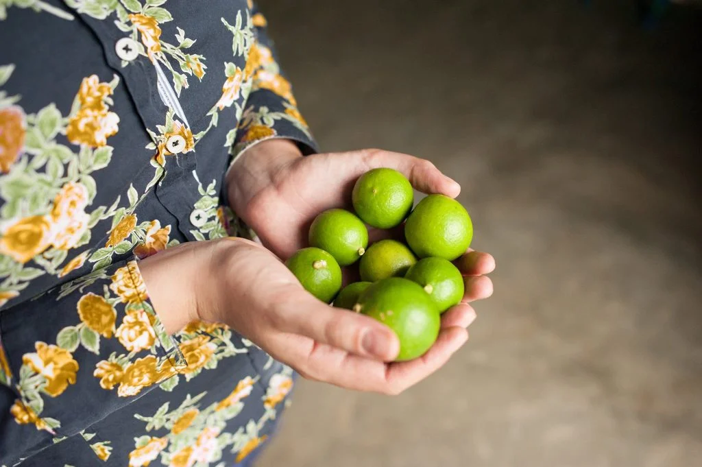 manos llenas de limones